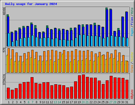 Daily usage for January 2024