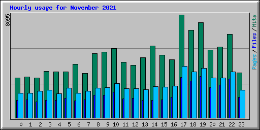 Hourly usage for November 2021