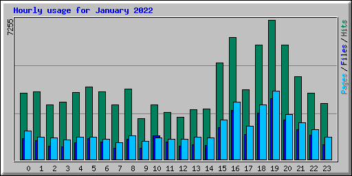 Hourly usage for January 2022