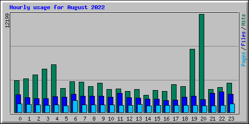 Hourly usage for August 2022