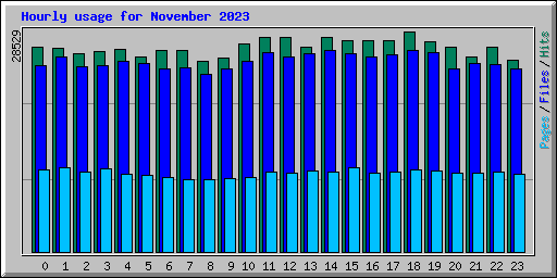 Hourly usage for November 2023