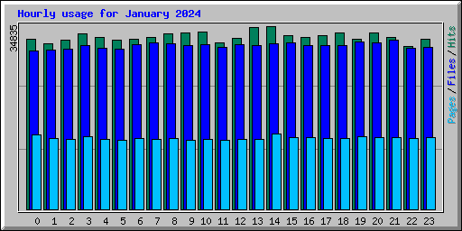 Hourly usage for January 2024