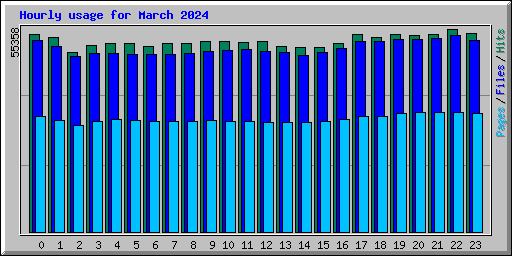 Hourly usage for March 2024