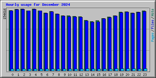 Hourly usage for December 2024