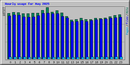 Hourly usage for May 2025