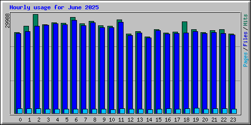 Hourly usage for June 2025
