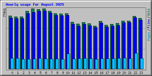 Hourly usage for August 2025