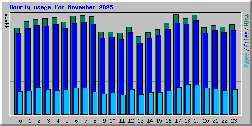 Hourly usage for November 2025